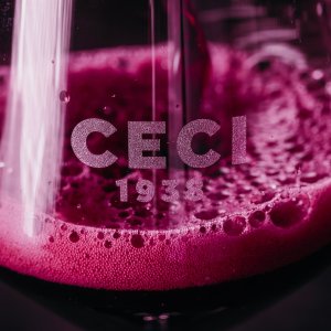 画像1: ランブルスコ　Otello Et Nera  辛口 エミリアロマーニャ州 CECI　