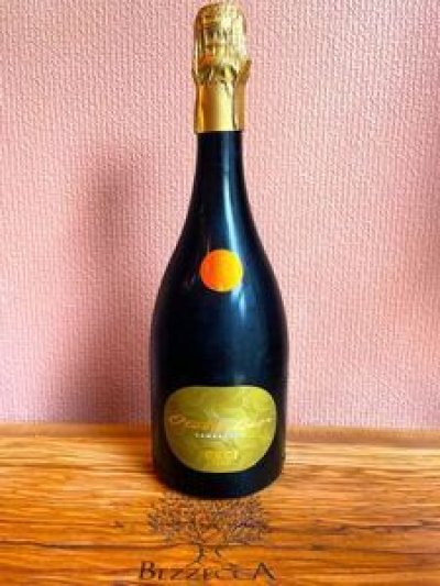 画像1: ランブルスコ　Otello Oro Semi-Secco  　エミリアロマーニャ州 CECI 赤の発泡酒