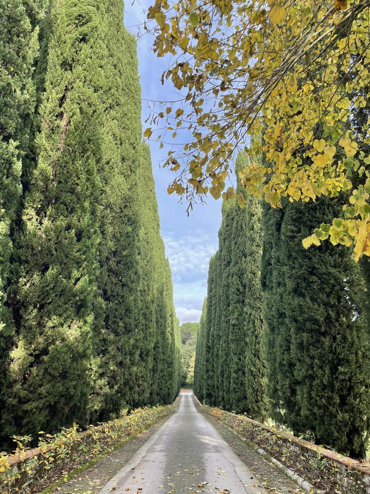 35周年　トスカーナツアー