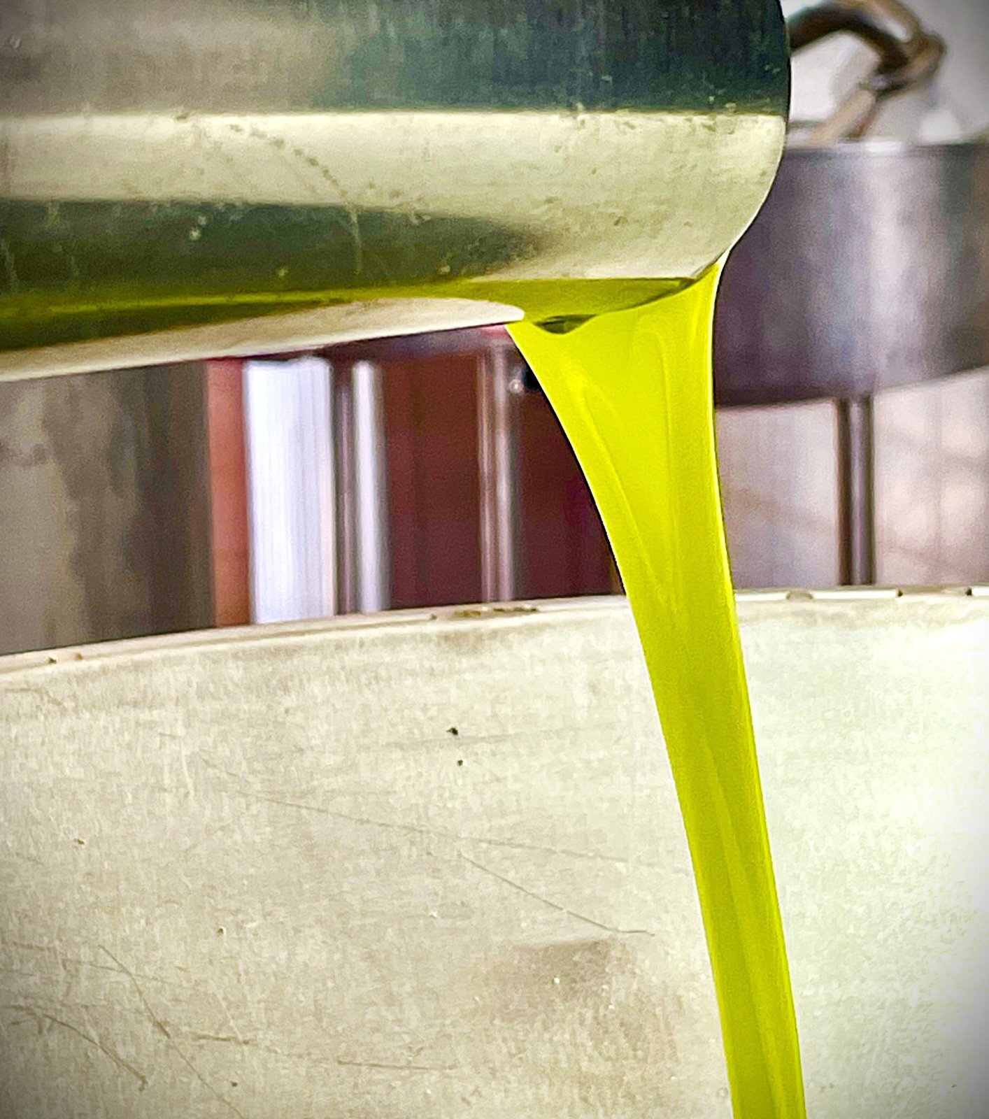 初搾りオリーブオイル　お届け先変更は今月末まで